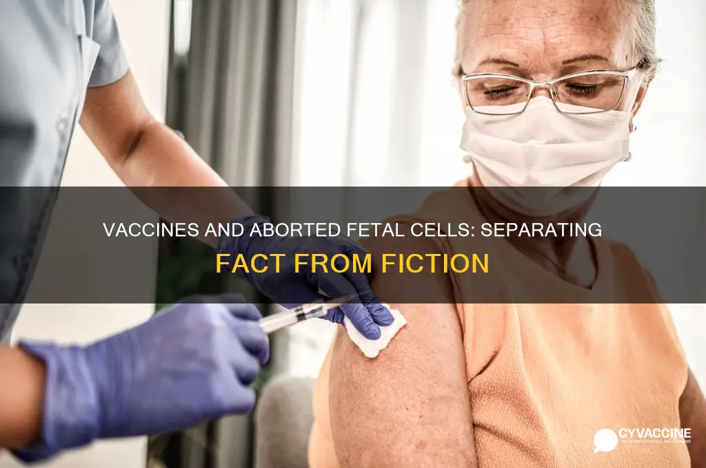 does the vaccine contain aborted cells