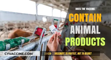 Are Animal Products in Vaccines? Ingredients and Ethical Considerations Explained
