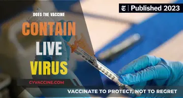 Do Vaccines Contain Live Viruses? Debunking Myths and Facts