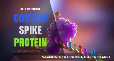 Does the COVID-19 Vaccine Contain Spike Protein? Facts Explained