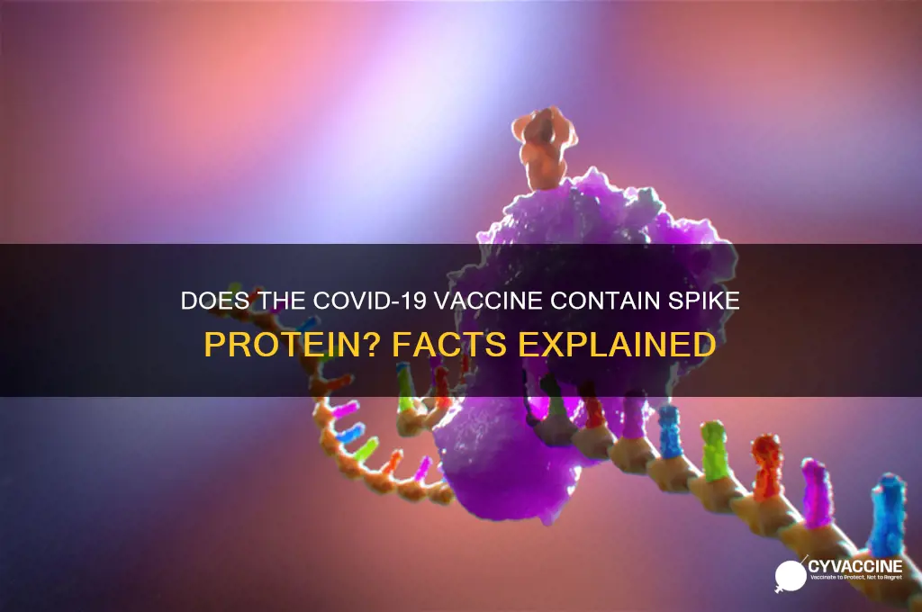 does the vaccine contain spike protein