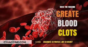 Vaccine and Blood Clots: Separating Fact from Fiction