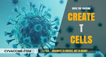 Vaccines and T-Cell Immunity: Unraveling the Science Behind the Protection