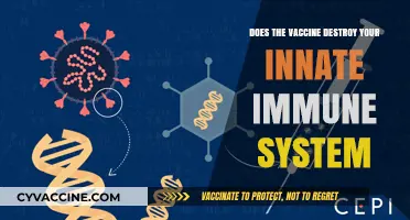 Vaccines: Do They Harm or Boost Innate Immunity?