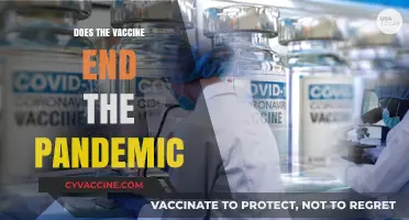 Vaccines and the Pandemic: Can Inoculation Truly End the Crisis?