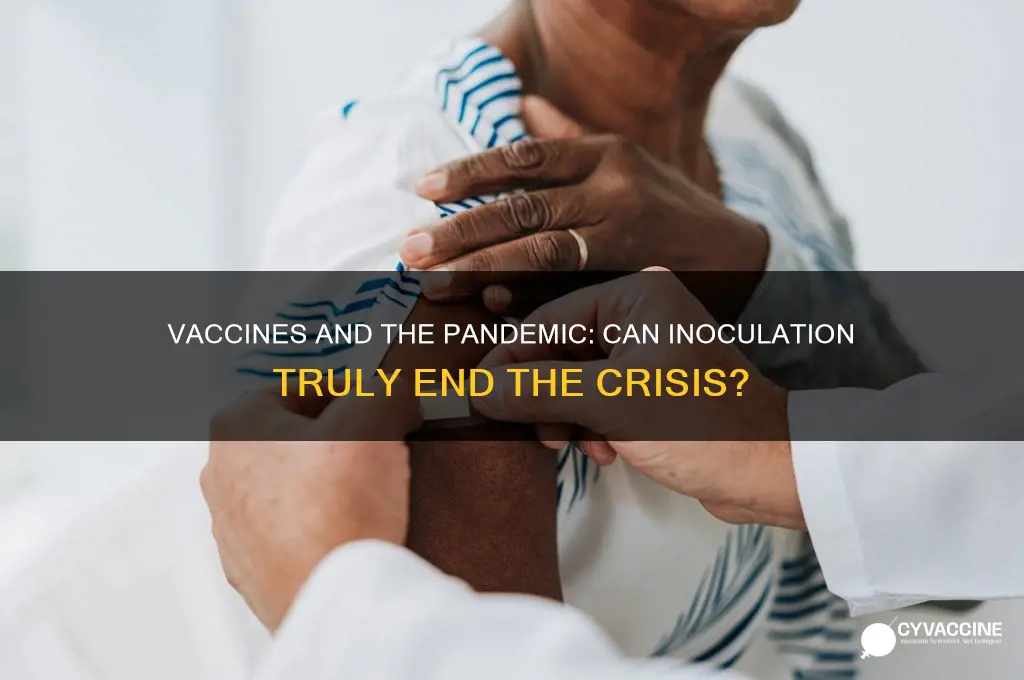 does the vaccine end the pandemic