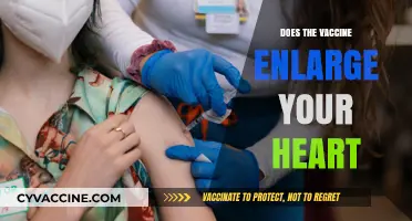 Vaccine and Heart Size: Separating Fact from Fiction