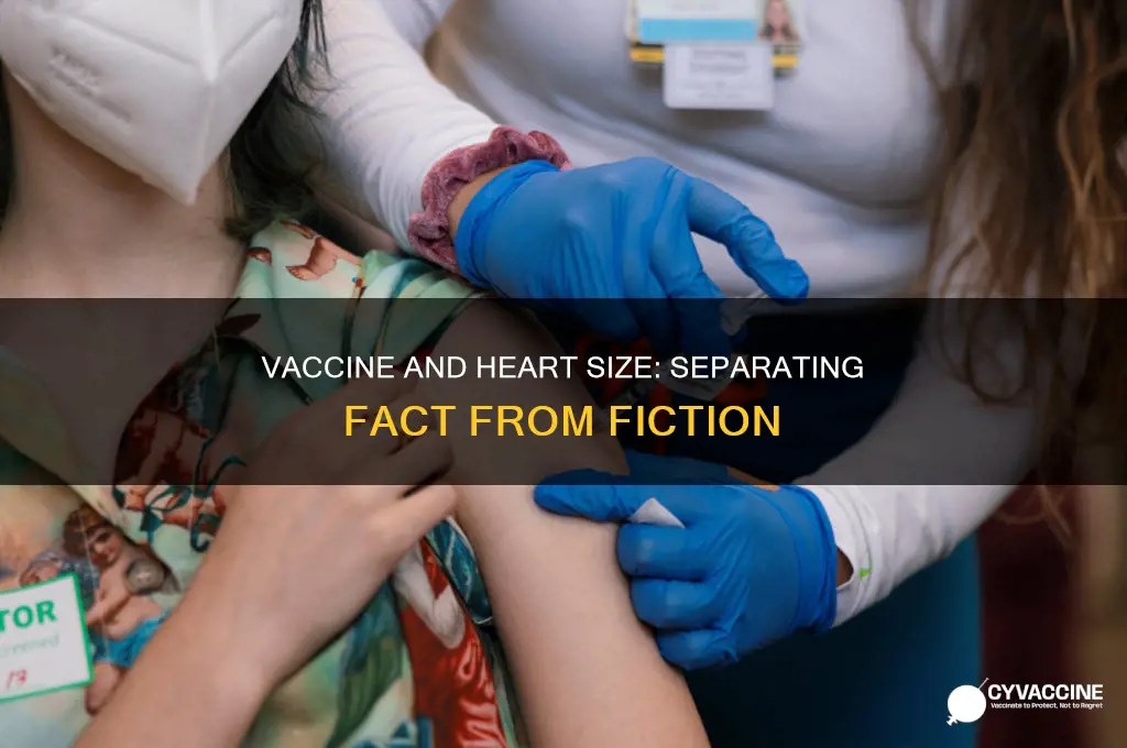 does the vaccine enlarge your heart
