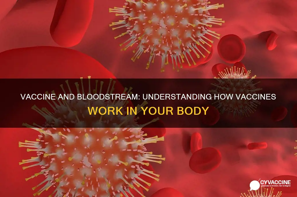 does the vaccine enter the bloodstream