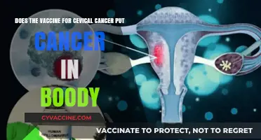 Vaccine Myth: Cancer Risk or Cancer Prevention?