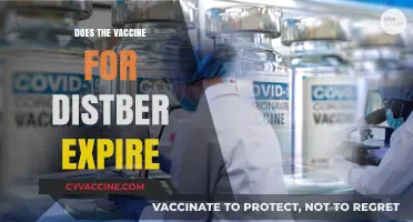 Does the Distber Vaccine Expire? Understanding Its Shelf Life and Efficacy