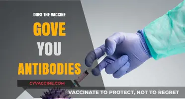 Vaccines and Antibodies: Understanding How Immunization Boosts Your Immune System