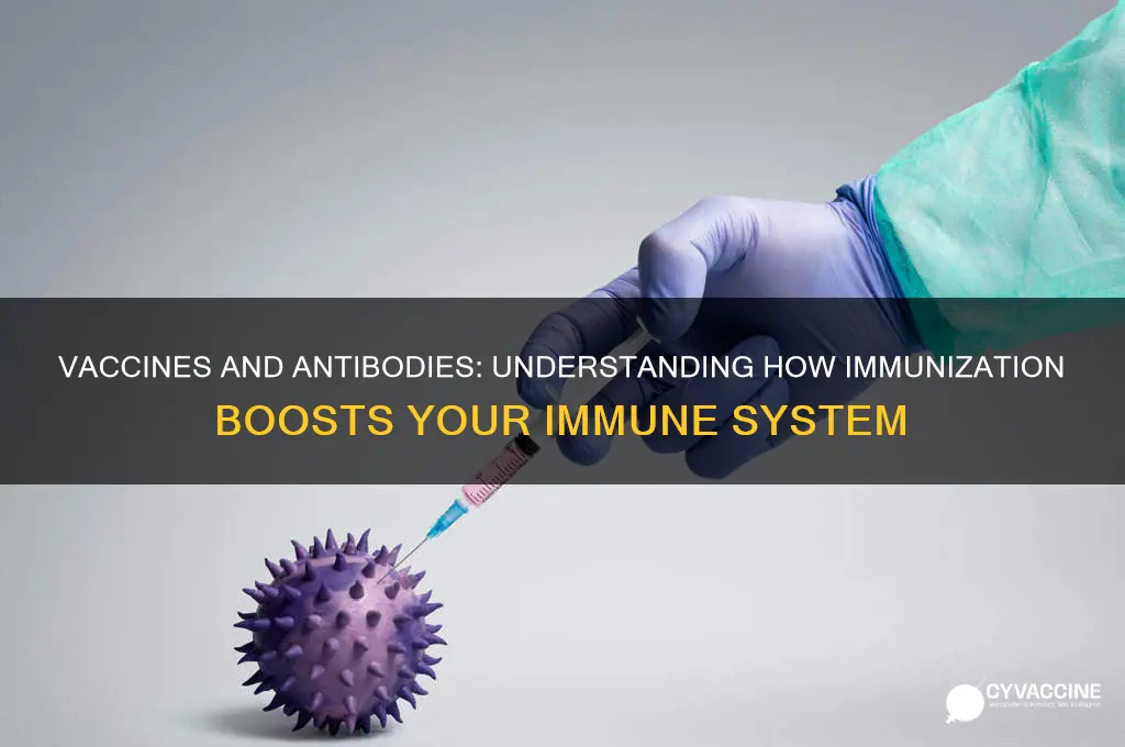 does the vaccine gove you antibodies