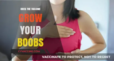 Vaccine and Breast Size: Separating Fact from Fiction