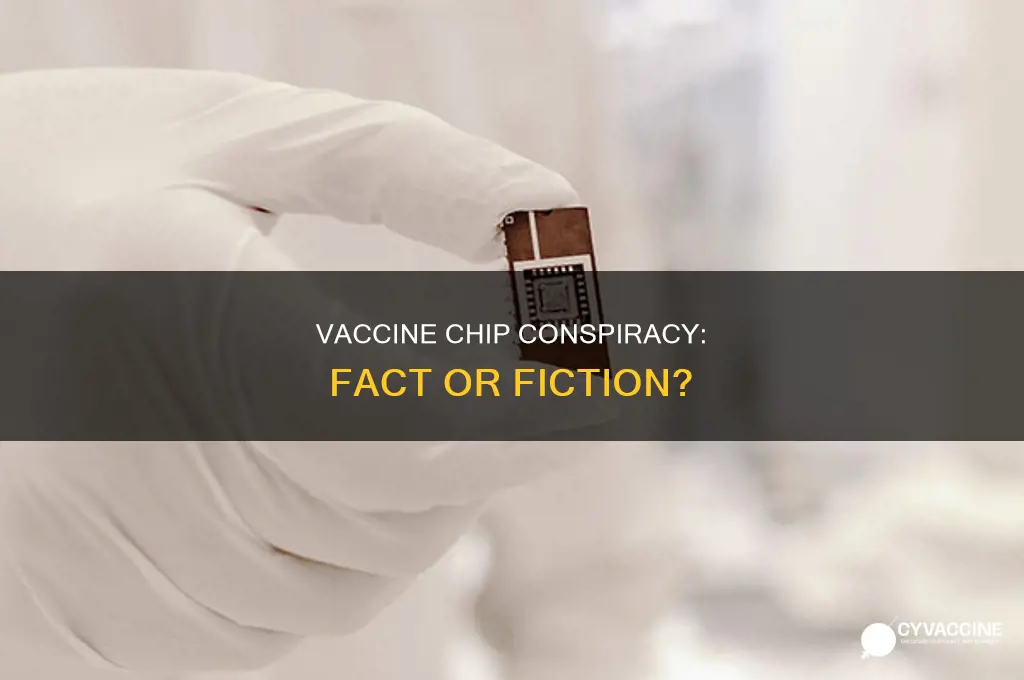 does the vaccine have a chip in it