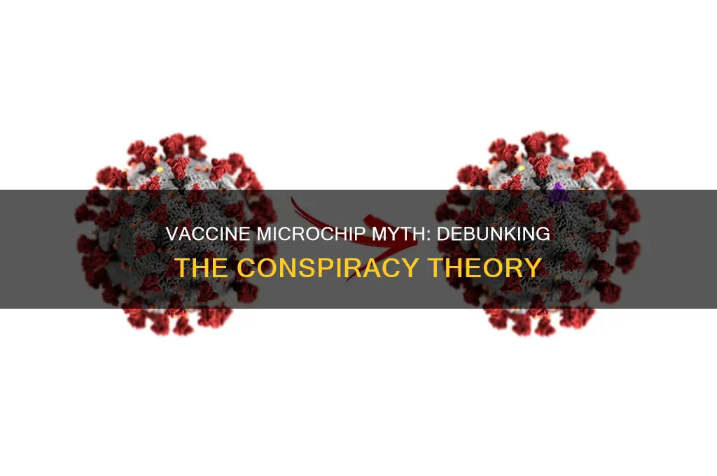 does the vaccine have a micro chip in it