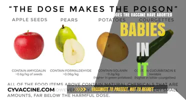Vaccine Ingredients: The Truth About Aborted Fetal Cells