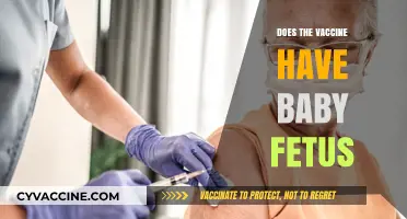 Vaccines and Fetal Cells: Separating Fact from Fiction