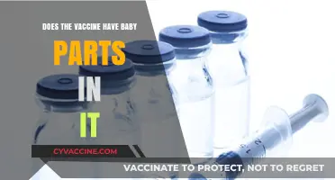 Vaccine Myth: Baby Parts?