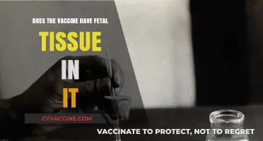 Vaccine Myth: Fetal Tissue and Its Truth