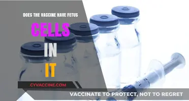 Vaccine Development: Fetal Cells and Their Use