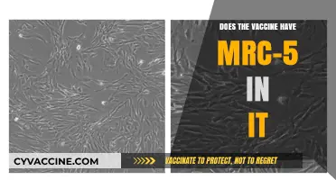 Vaccine Ingredients: MRC-5 Cell Line Presence