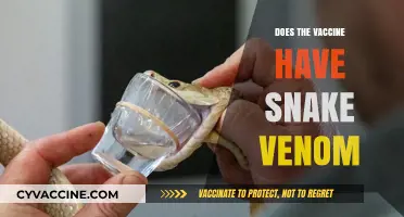 Debunking the Myth: Snake Venom in Vaccines – Fact or Fiction?