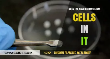 Vaccine Stem Cell Myth: Debunking Misinformation