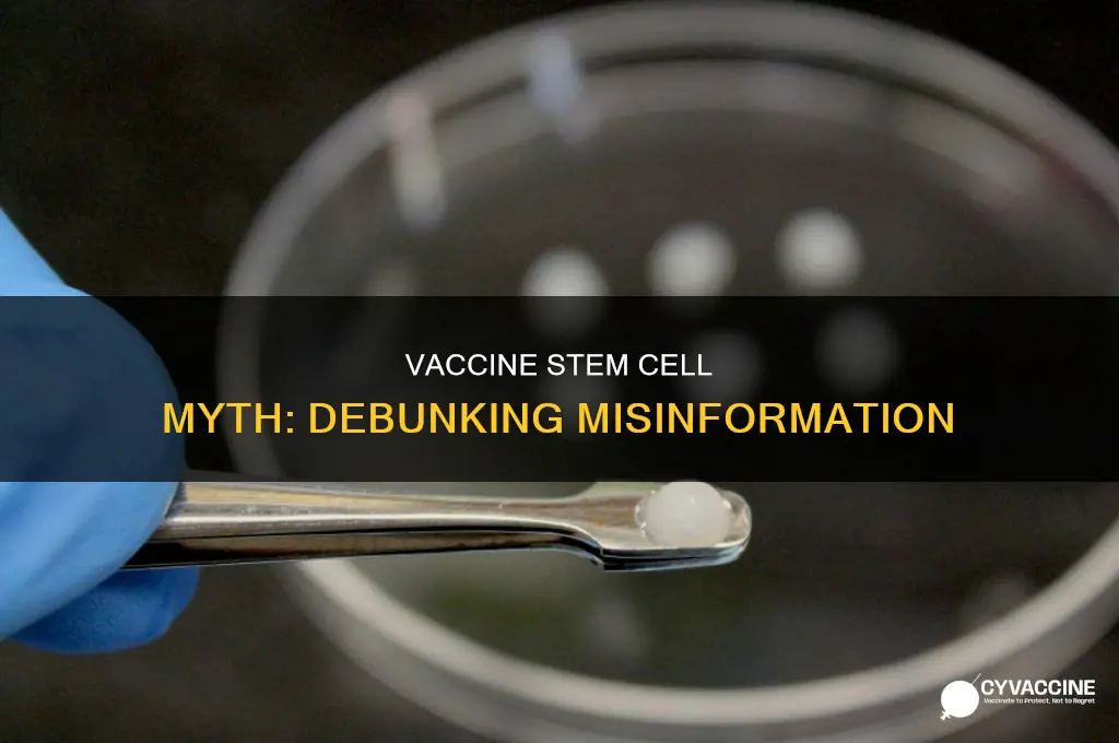 does the vaccine have stem cells in it
