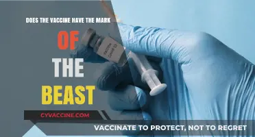 Vaccine and the Mark: Unraveling the Conspiracy