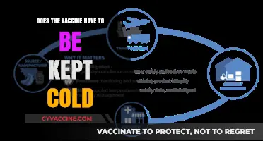 How Cold Chain Logistics Ensure Vaccine Effectiveness