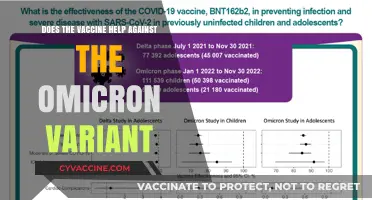 Vaccine Efficacy: Omicron Variant Protection Explained