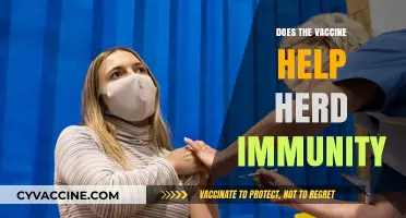 Vaccines and Herd Immunity: How They Work Together to Protect Communities