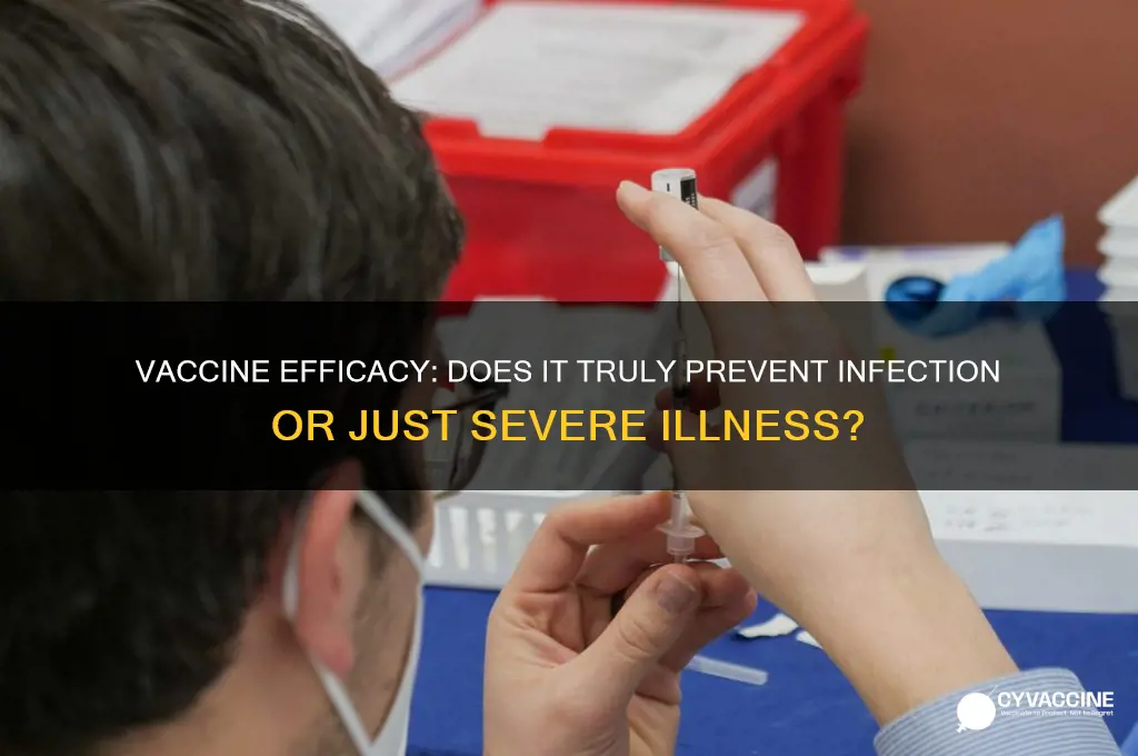does the vaccine help prevent infection