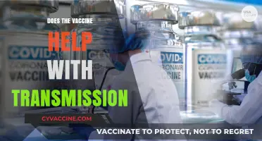Vaccines and Transmission: Unraveling the Impact on COVID-19 Spread