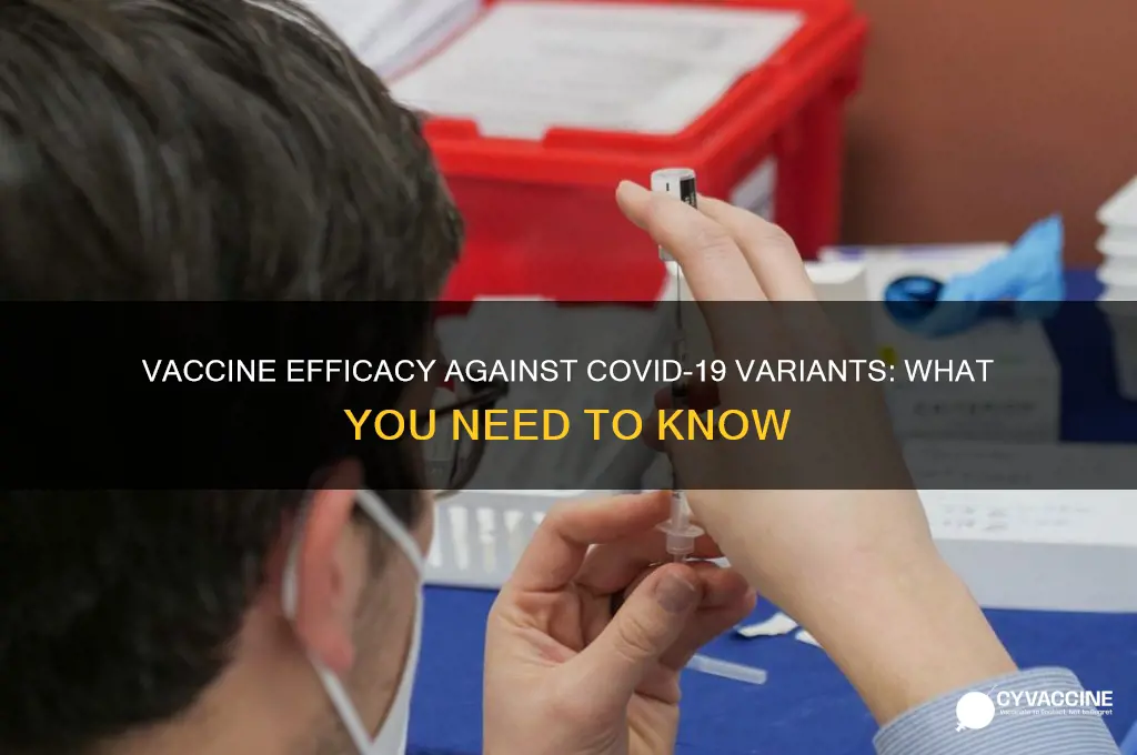 does the vaccine help with variants