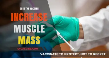 Vaccine and Muscle Mass: Separating Fact from Fiction