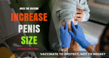 Vaccine and Penis Size: Separating Fact from Fiction