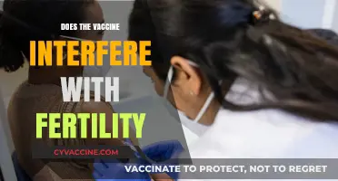 Vaccines and Fertility: Separating Myths from Scientific Facts