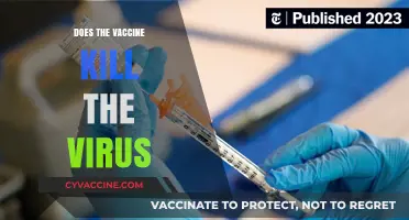 Vaccines vs. Viruses: Debunking Myths About How Vaccines Work