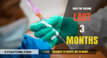 How Long Does Vaccine Protection Last? 3-Month Myth Debunked