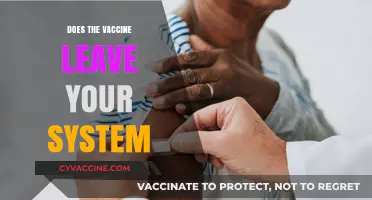 Does the Vaccine Leave Your System? Debunking Myths and Facts
