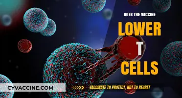 Vaccine Impact: Does It Lower T-Cell Counts? Exploring the Science