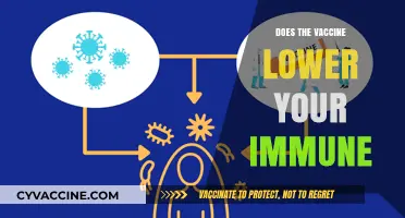 Vaccines and Immunity: Debunking Myths About Immune System Impact