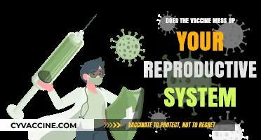 Vaccines: Safe for Reproductive Health?