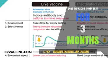 Vaccine Efficacy: How Long Does Protection Really Last?