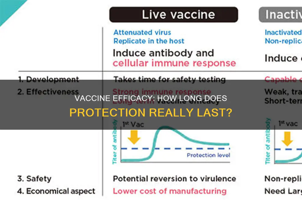 does the vaccine only last for 3 months