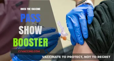 Does Your Vaccine Pass Include Booster Shots? What You Need to Know