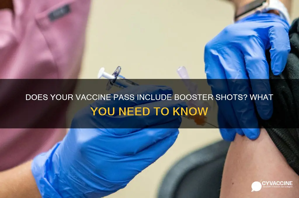 does the vaccine pass show booster