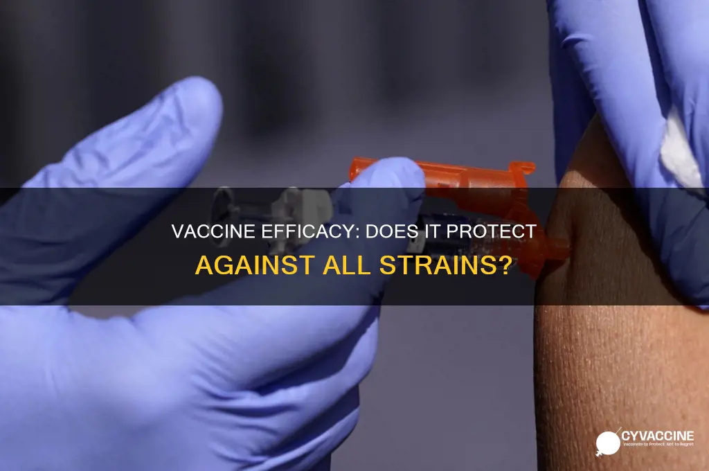 does the vaccine prevent all strains